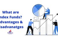 What Are The Advantages Of Index Funds Over Stocks